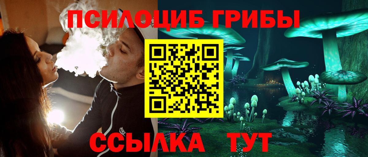 Псилоцибиновые грибы GOLDEN TEACHER  Вход с VPN  цены   Асино 