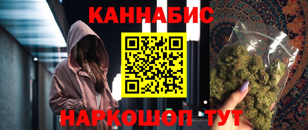 Бошки Шишки план Асино
